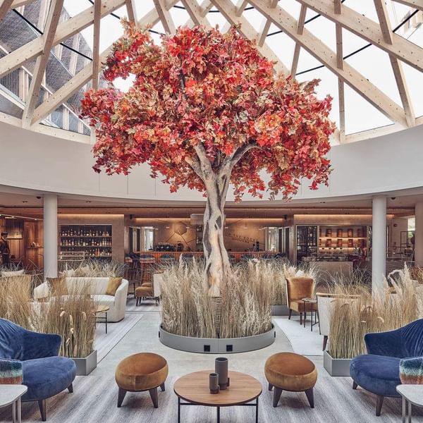 NOVEMBER WEEKEND SPECIAL